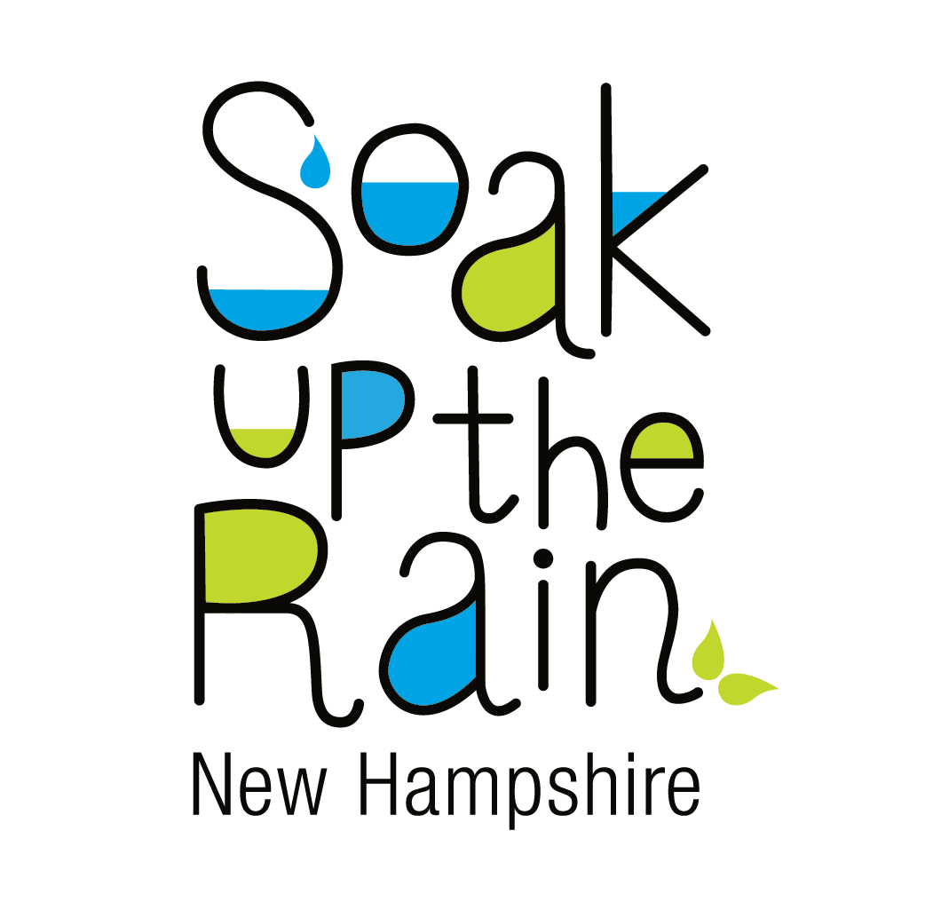 Soak Up the Rain logo