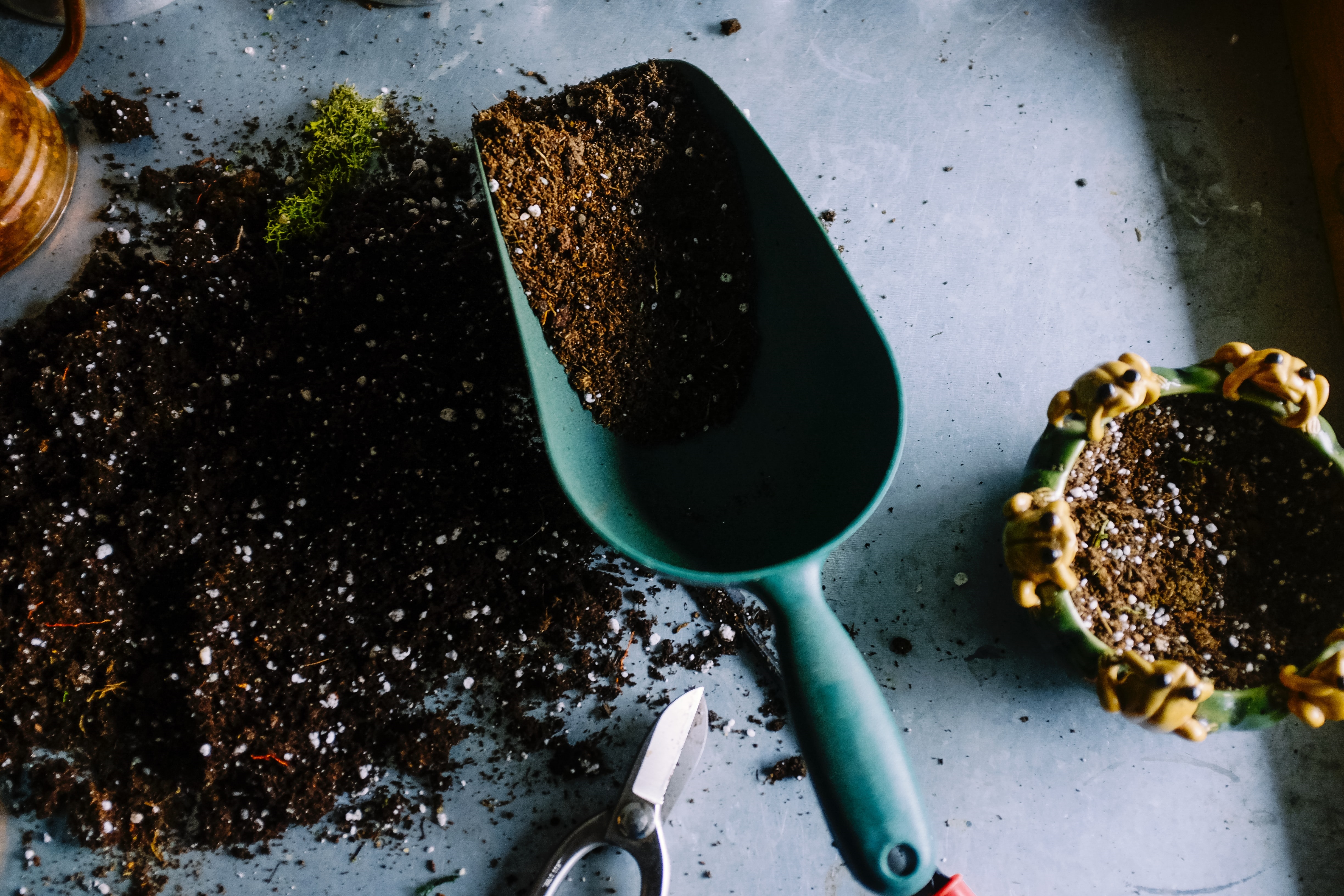 Brown dirt in a blue trowel on a garden potting table